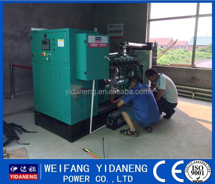 120kw Cow Dung Biogas plant Manufacture