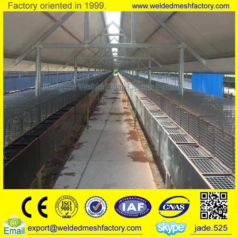 Mink Farming Cage /fox Farming Cage For Sale Buy Mink Cages For Sale