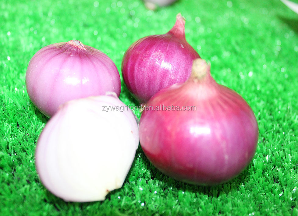 2014 fresh red onion new season price per ton from china