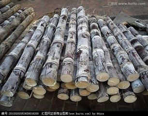 sugarcane juice machine/sugar cane crusher/sugar cane extractor
