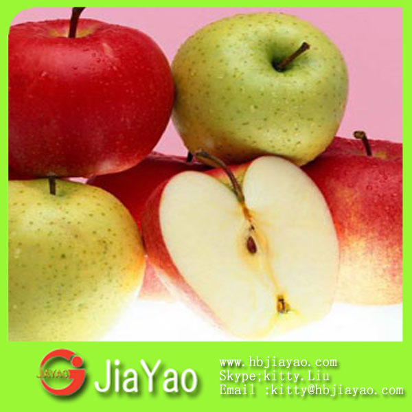 Factory fresh canned apple in syrup/ canned fruits