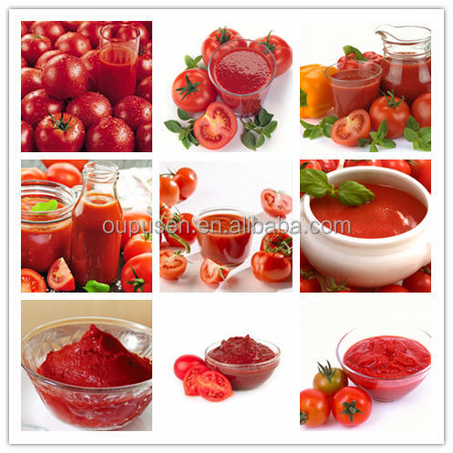 Bulk Tomato Paste