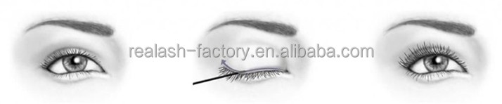 REAL PLUS eyelash extensions mascara/3D lashes/eyelash extend prompt