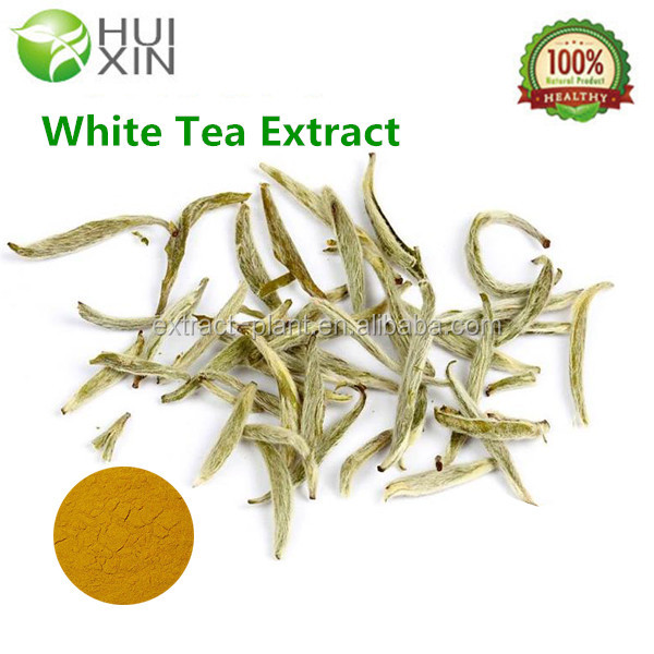 Factory Price White Tea Extract Powder Antioxidant,China HUIXIN price