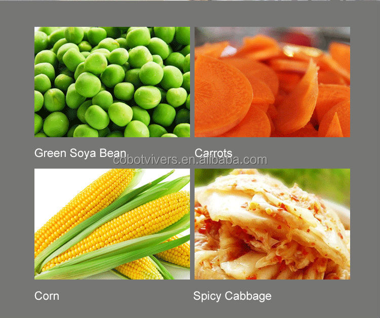 Vegetables Flavor Packet Noodles