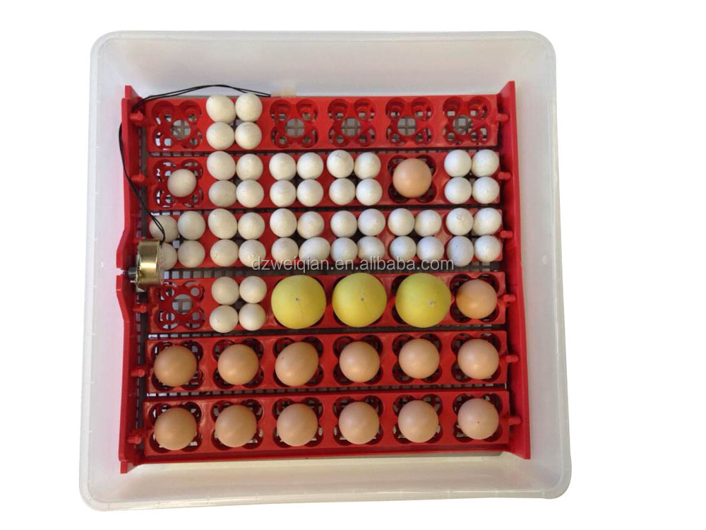 quail egg incubator quail egg incubator
