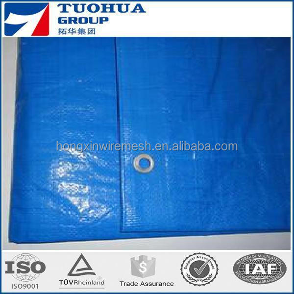 pe tarpaulin.JPG