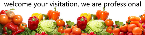 hot pepper sauce/tomato sauce production line/chili sauce making machine