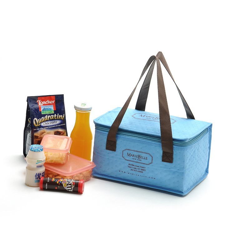 Extra large insulated cooler bag for wine
