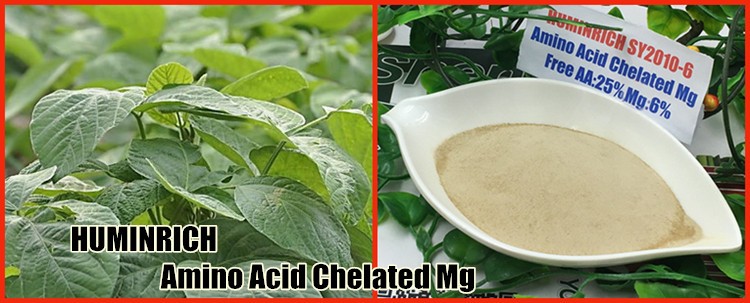 Chelated Zinc Fertilizer.jpg