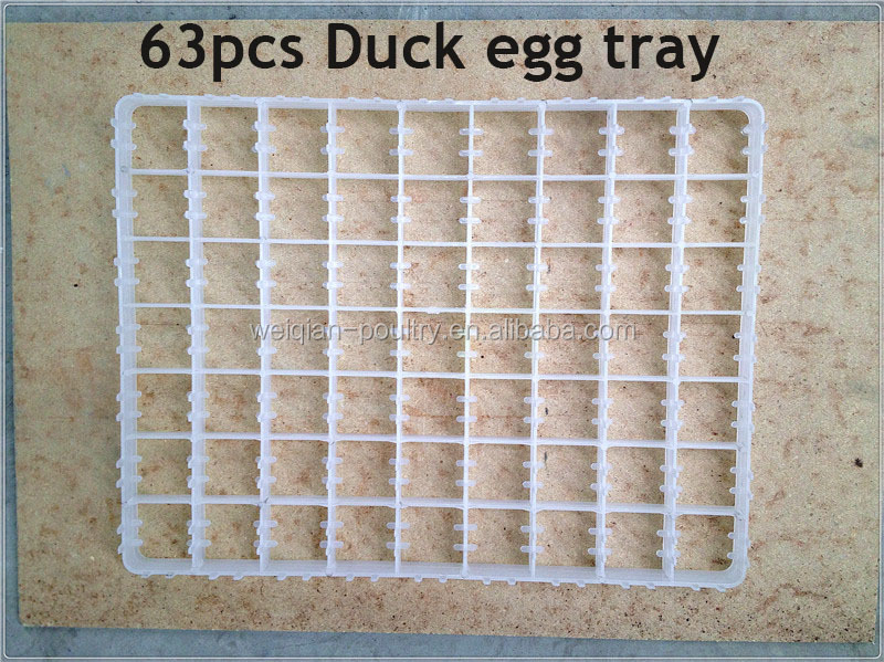 duck egg tray.jpg