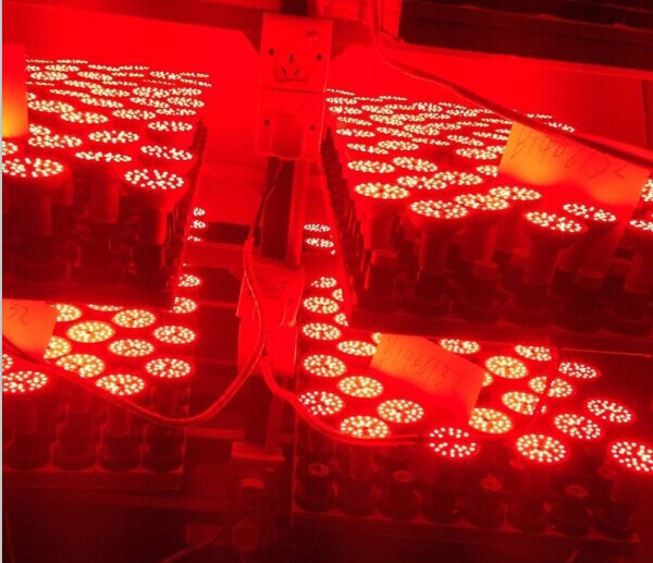 植物用LED問屋・仕入れ・卸・卸売り