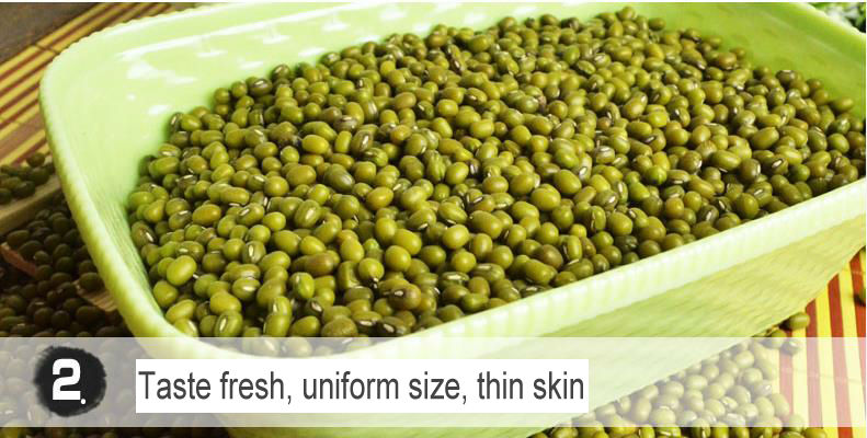 Chinese price for green mung beans with high quality