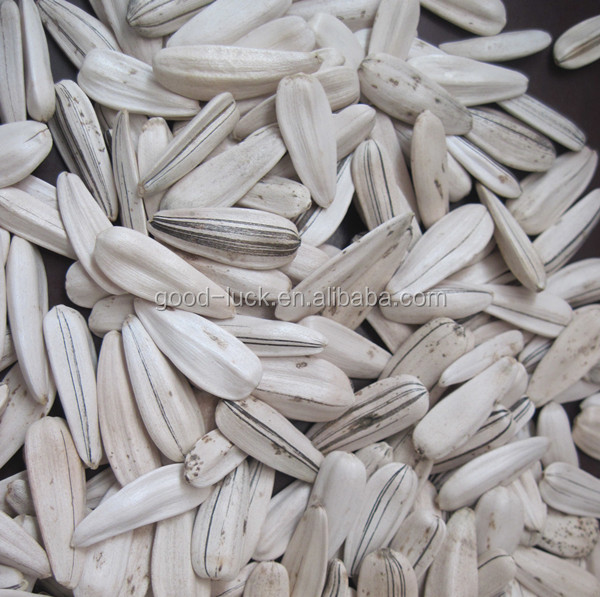 white sunflower .jpg