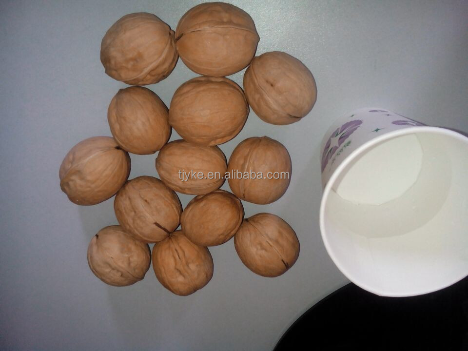 2014 new crop Walnut in shell Thin-skinned walnut in xinjiang(40 up)