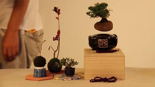 Vietnam bonsai shelf plastic bonsai pots fly in thre air
