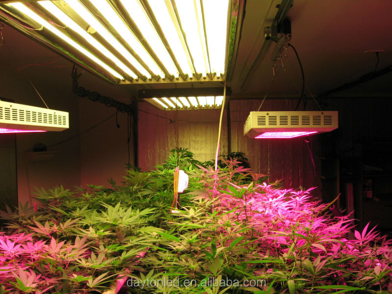 光の完全なスペクトルを育てる350ワットled水耕栽培用システム医療の植物問屋・仕入れ・卸・卸売り
