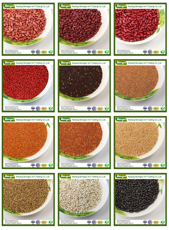 2014 crop tops lentil/lentil bean China supplier