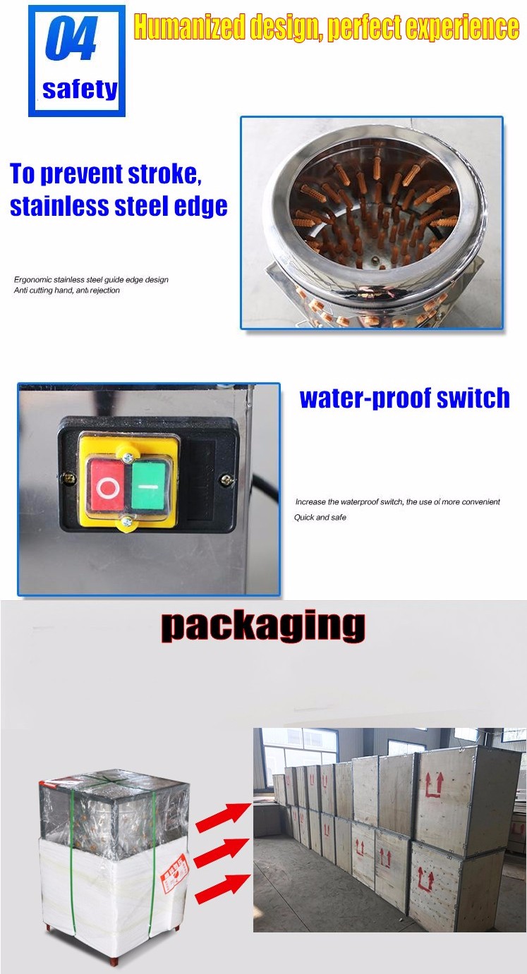 5 - .jpg