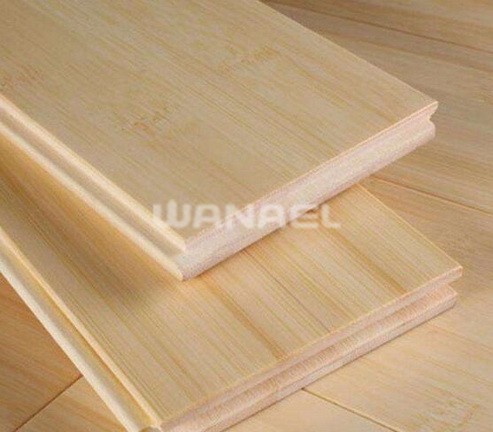 Bamboo Floor1 (1)