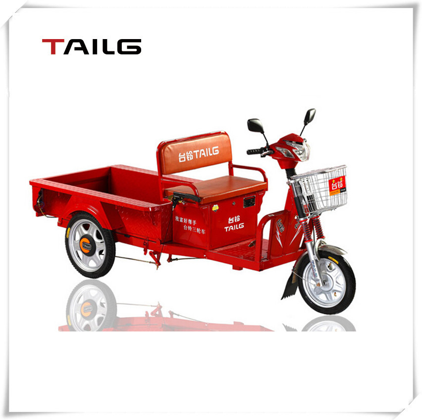 Adult Tricycle Manufacturers 84