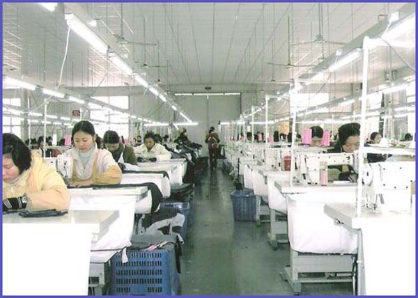 alibabaの明白な高品質の圧縮弾性調節可能なバックサポート仕入れ・メーカー・工場