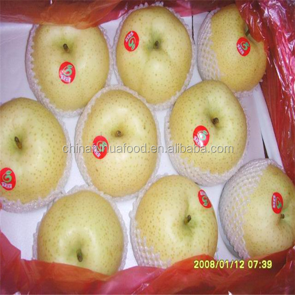 2014 New Crop Pear