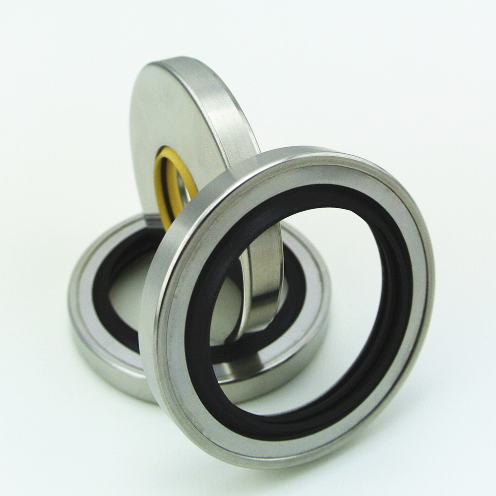 High Quality Mechanical Seal Ptfe Double Lips Stainless Steel Oil Seal