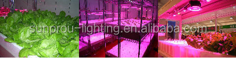 Low power energy save wholesale price cheap grow led light