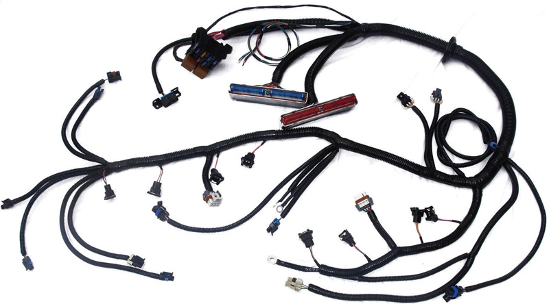 LS1 harness.jpg