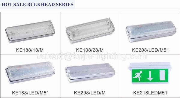 IP65 LED emergency bulkhead light emergency lamp