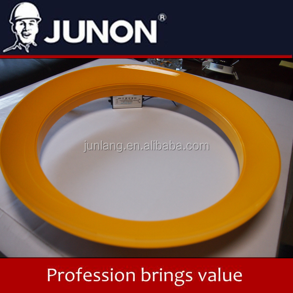 LED Ceiling light Diffuse reflection ceiling light LED light phoenix tail