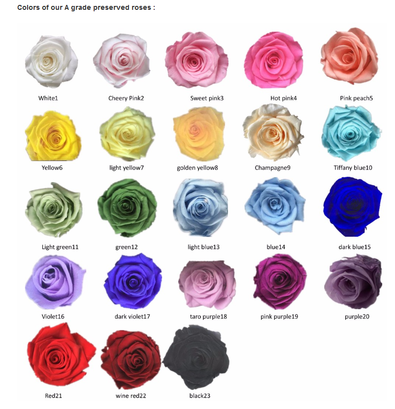 Color Lits.png
