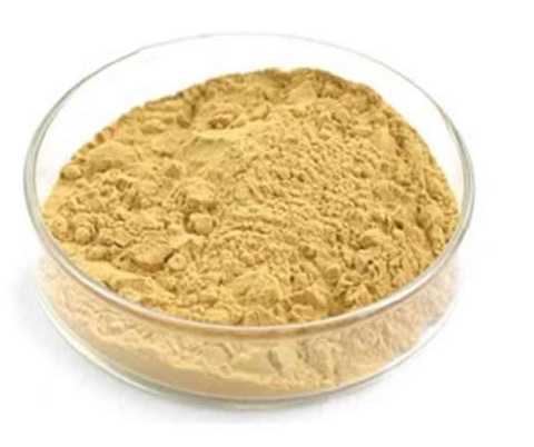 GMP Manufacturer Marshmallow Root Extract Powder