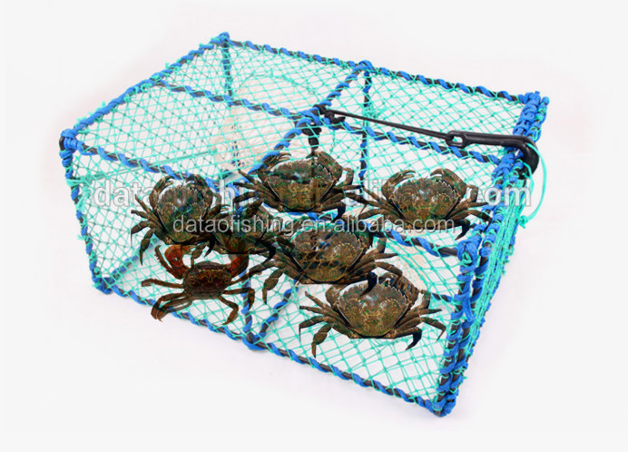 Crab2.jpg
