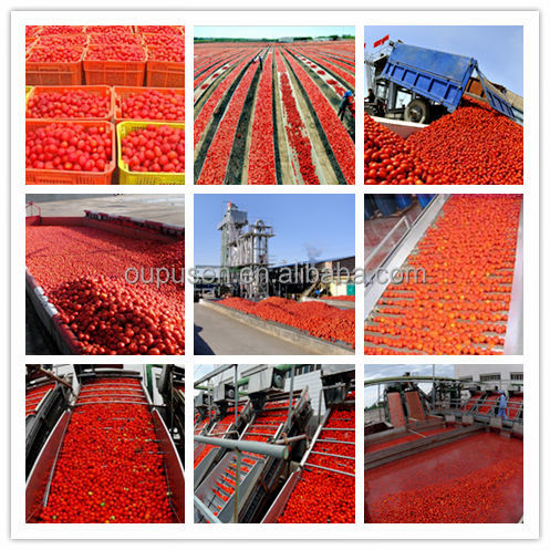 36-38% Tomato Sauce in Drum