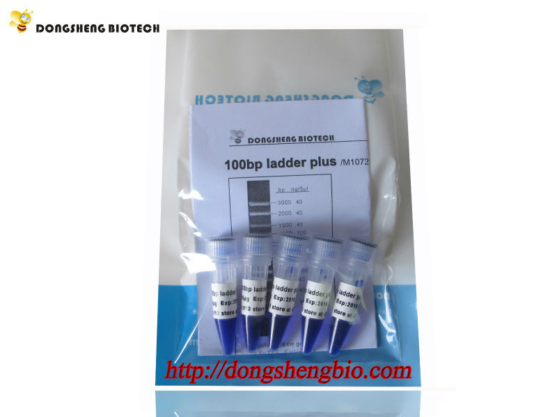 M1072 100bp ladder plus