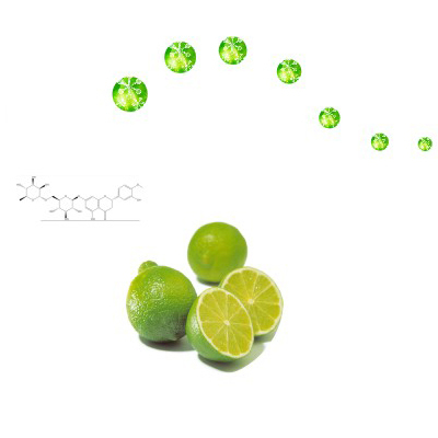 40% Tea Polyphenols for healthy or drinking black tea extract powder