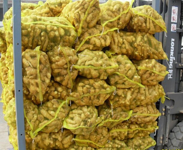 2014 Crop Fresh Ginger with High Quality