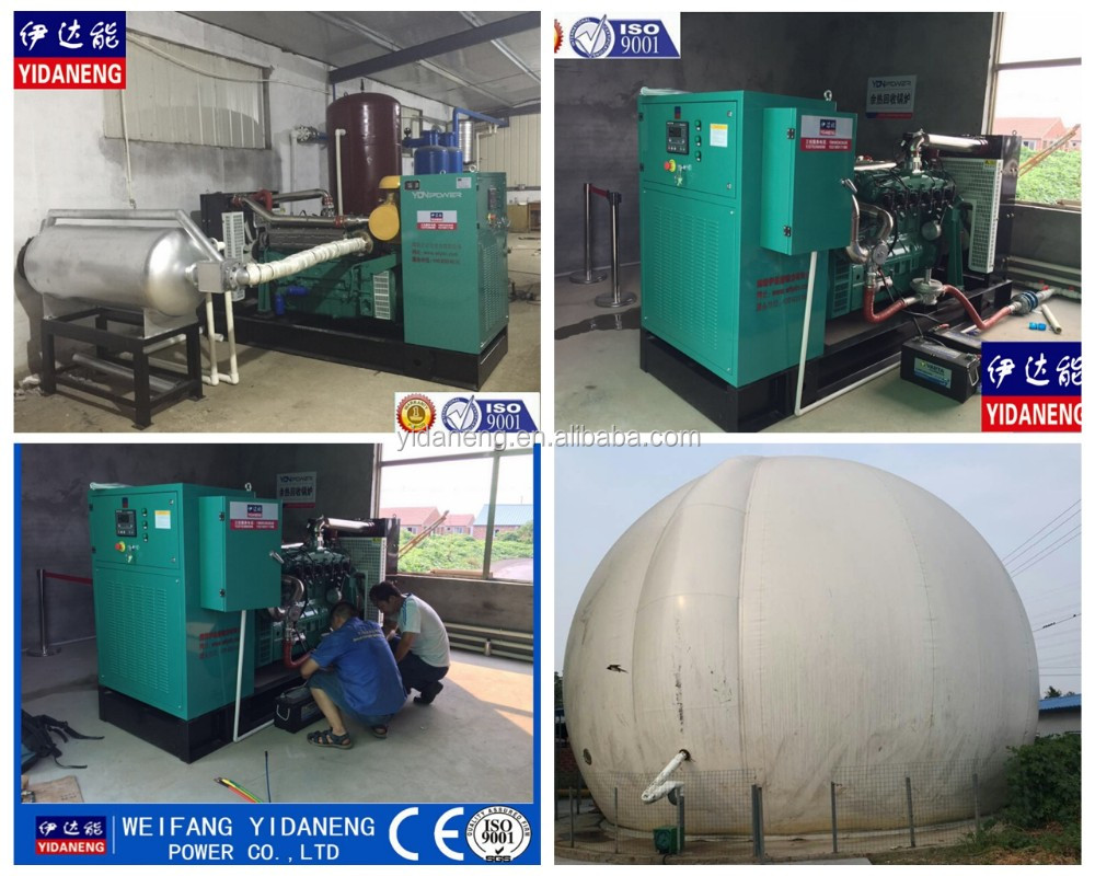 120kw Cow Dung Biogas plant Manufacture