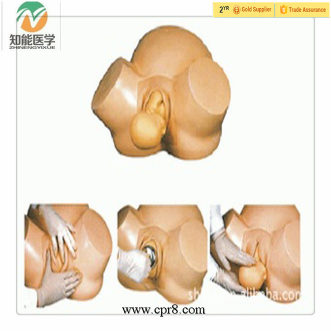 BIX-F8 Senior midwifery training model.jpg