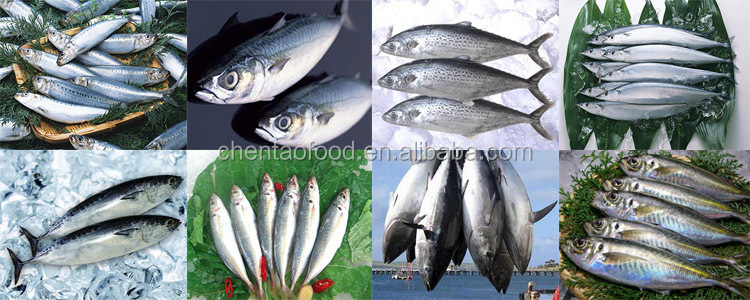 Fish.jpg