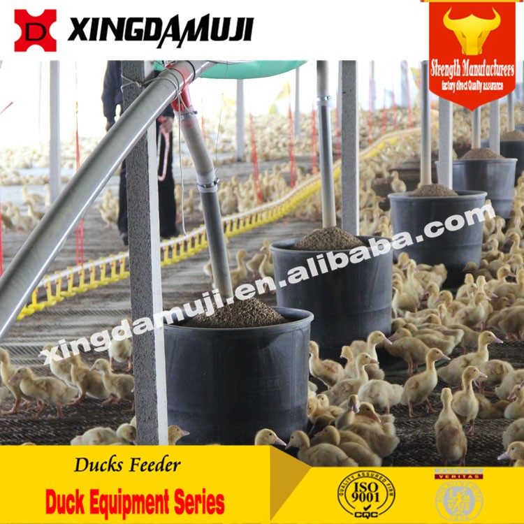 Automatic Poultry Pan Feeding System Chicken Ducks Feeder Drinker