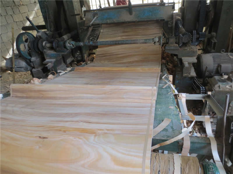 ロータリーカットの顔の合板となっています中国用ブナの単板工場直接販売問屋・仕入れ・卸・卸売り