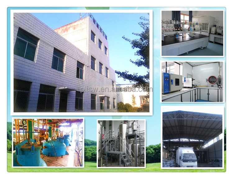 Factories supplying cocoa extract theobromine