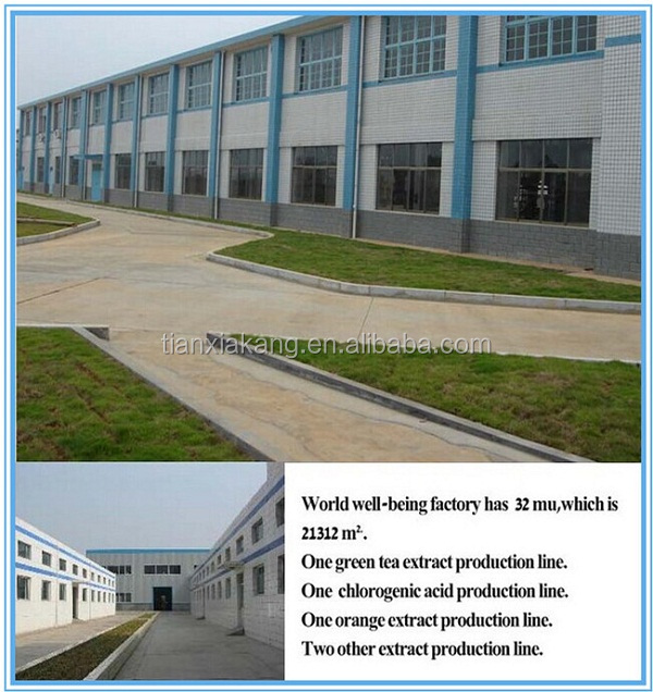 Factory Hot Selling Low Price Organic 10%-20% Theobromine Cocoa Extract Powder,Cocoa Bean Extract Powder, Natural Cocoa Powder