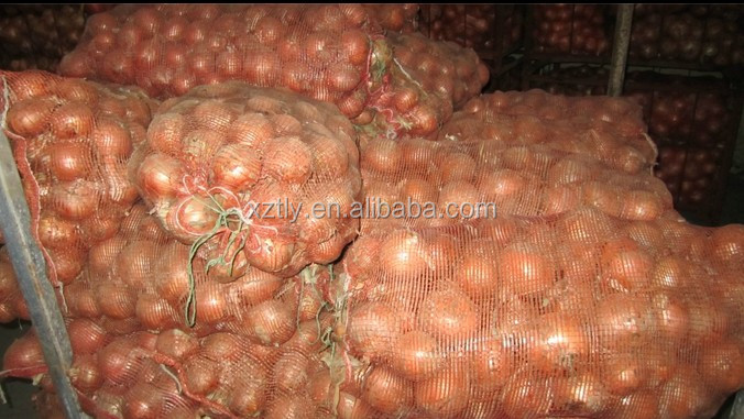 Fresh yellow onion exporting standard