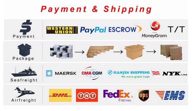 payment & shipping