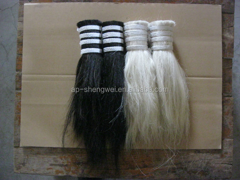 black horse mane mix PP