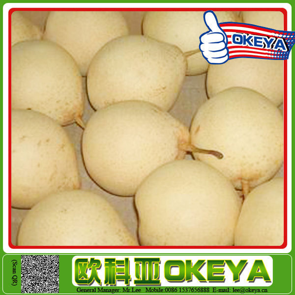 Top Quality Sweet Juicy china green su pear/green pear